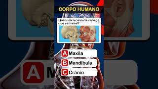 Quiz do Corpo Humano 🫁🫀 O quanto você conhece de anatomia humana anatomia corpohumano [upl. by Evslin]