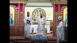 Divine Liturgy Sunday May 3 2020– Bishop Milan Lach SJ [upl. by Dilan]