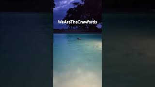 We Are The Crawfords [upl. by Eusebio]