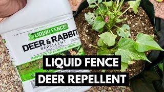 Liquid Fence Deer And Rabbit Repellent Review [upl. by Worrad]