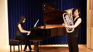 Euphonium Concerto 1st mov J Horovitz [upl. by Atteragram]