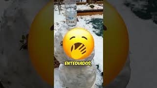 FIZERAM ALGO INCRÍVEL com um BONECO DE NEVE☃️ [upl. by Mcclish]