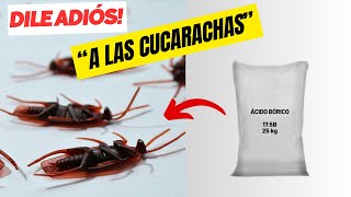 ELIMINA las CUCARACHAS de Manera FÁCIL Y ECONÓMICA MATA CUCARACHA Casero [upl. by Lello]