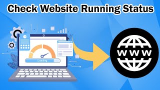 How to Test Website Running Status [upl. by Mcadams]