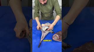 Ikan monk fish itu gila trending shortvideo [upl. by Eyram]