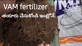 242 How to make VAM Mycorrhiza fertilizer at home Vesicular Arbuscular Mycorrhiza VAM [upl. by Nnylasor]