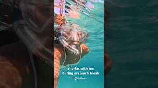 Tips on how to find sand dollars Anyone 🏝️🤿 snorkeling caribbean beachlife islandlife [upl. by Adrian]