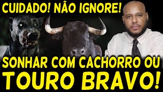 ALERTA SONHOS COM ESTES ANIMAIS  NÃO É O QUE A MAIORIA PENSA DEIXA EU TE EXPLICAR [upl. by Eanore]