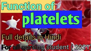 Function of platelets [upl. by Jaymee]