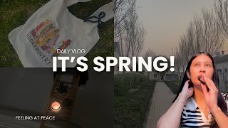 spend a spring evening with me 🌼🌷🪻baking sunset walks reading etc  South African YouTuber [upl. by Antin522]