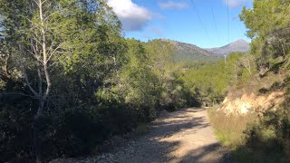 Costa de la Calma schöne Strecke nach Paguera ❤️ Natur pur 😎 Mallorca Urlaub im Winter ❤️ [upl. by Bela]