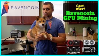 How To Mine Ravencoin  Best Wallet  Best RVN Miner  Increase Mining Profits [upl. by Rufena]