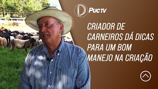 CRIADOR DE CARNEIROS DÁ DICAS PARA UM BOM MANEJO NA CRIAÇÃO [upl. by Colvert]