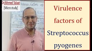 Streptococci 2 Virulence factors of Streptococcus pyogenes “Medical microbiologyquot [upl. by Quirk]