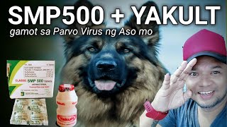 PAANO ANG TAMANG TIMPLA SMP500  YAKULT eskatvbuhayprobinsya [upl. by Aitram]