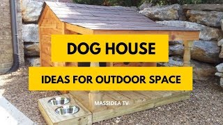 45 Best DIY Dog House Design Ideas for Outdoor Space [upl. by Golden306]