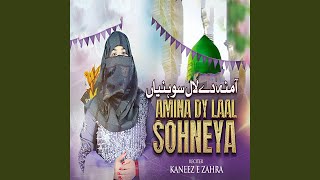 Amina Dy Laal Sohneya [upl. by Eicyac]