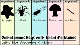 Dichotomous Keys Identification Achievement Unlocked [upl. by Kiyoshi]