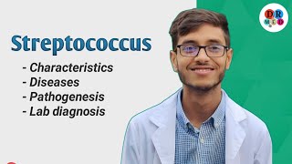 Streptococcus pyogens  Gram positive cocci  Bacteriology  Microbiology bangla lecture [upl. by Publias265]