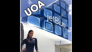 🛬UOA spotted in JetBlue ahead of their earnings report [upl. by Svensen835]