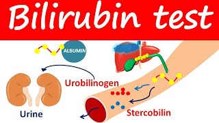 Bilirubin test  Direct Indirect amp Total bilirubin levels [upl. by Ococ]