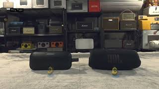 Bose Soundlink Flex vs JBL Charge 5 [upl. by Stav212]