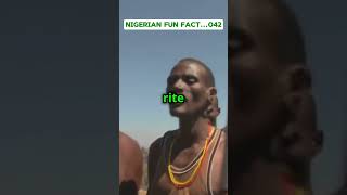 THE NIGERIAN FULANI NORMADIC TRIBE funfacts nigeria [upl. by Pearce]