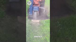 Stump Grinder Gone in Minutes efficientwork powertools stumpgrinder [upl. by Araccot658]