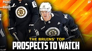 Which Bruins prospects will break into the lineup this year  Pucks with Haggs [upl. by Jehiel]