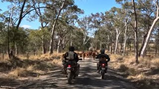 DR650 amp XT660 Adventure Ride  Brisbane  Deepwater  Stanthorpe  Day Three  Go Pro Compilation [upl. by Emad]