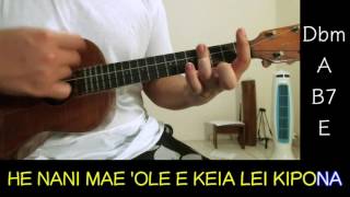 KUU PILI OHA  Ukulele Cover with lyrics [upl. by Basil207]