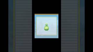 Shiny Budew 😭😭 shorts pokemon bdsp shinyhunting shinypokemon [upl. by Adnilrem]