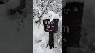 🏔️다이센 산  1700m 설악산 맞짱먹는 다이센 산 탐방하기 👺 [upl. by Strohl767]