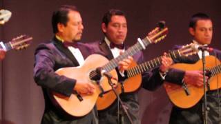 RONDALLA DE SALTILLO EN OAXACA COMO EL ALAMO AL CAMINO LA RONDALLA [upl. by Rosenbaum424]