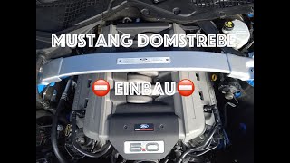 Domstrebe im Ford Mustang I Einbau I Lohnt sich das I Kosten I [upl. by Burlie]