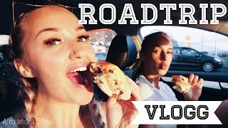 ROADTRIP VLOGG  OSLO  TRONDHEIM [upl. by Ruddie]