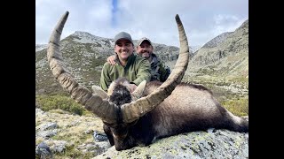 Spain 2024 Gredos Ibex amp Mouflon Sheep  A huntin story [upl. by Manoff]