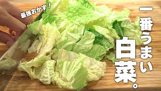 【白菜レシピ】材料2つ！一番おいしい食べかた！簡単中華 [upl. by Dadirac]