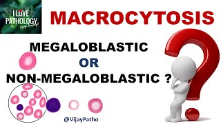 MACROCYTOSIS Causes Mechanism amp Approach [upl. by Llednahs]