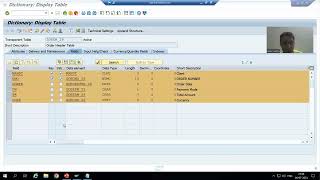 110  ABAP Programming  Database Operations  INSERT Part1 [upl. by Ketchum]