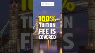 UK Study Dreams FREE Chevening Scholarship Guide 2024 Application  Study in UK [upl. by Haeli760]