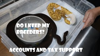 Do I Keep my breeders Considerations before pairing Accounting and tax solutions and support [upl. by Carhart258]