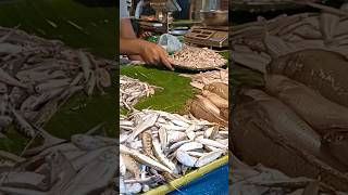 Fish Market in Bogra bogra [upl. by Neetsuj]