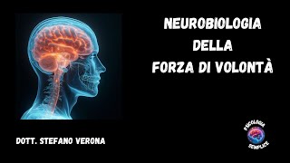 Le Basi Neurali della Forza di Volontà Un Viaggio nel Cervello [upl. by Ecnar]