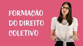 Direito Coletivo do Trabalho  Organização Sindical [upl. by Reinhard]