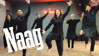 Naag  Jazzy b  The Naag jam  Bhangra  Easy Bhangra Choreography The Dance Mafia bhangra naag [upl. by Amling678]