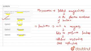 Which one is useful in prokaryotic replication [upl. by Enitsahc]