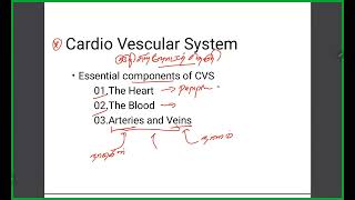 Hypertensive Medicines Pharmacology [upl. by Ahsieuqal]