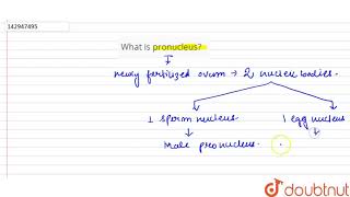 What is pronucleus [upl. by Nies397]