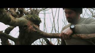 Pollarding and Coppicing with Rick Brookman [upl. by Lainad]